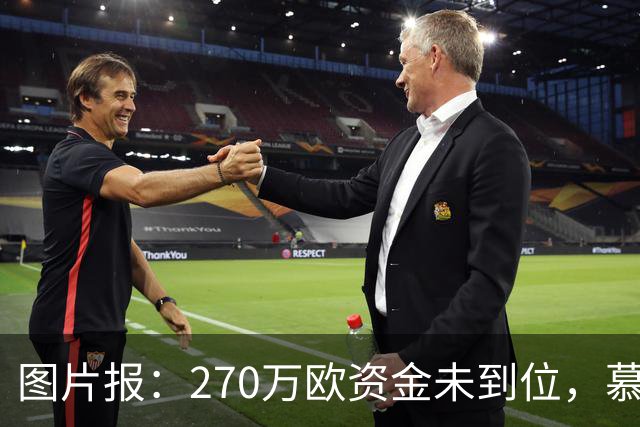图片报：270万欧资金未到位，慕尼黑1860被取消德丙参赛资格